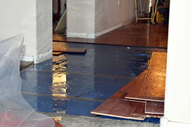 Professional Burst Pipe Cleanup technician working in Mack, OH
